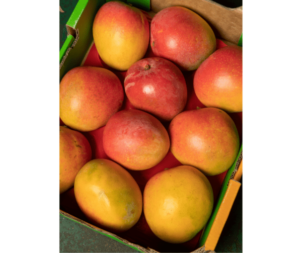 Alphonso Mangoes