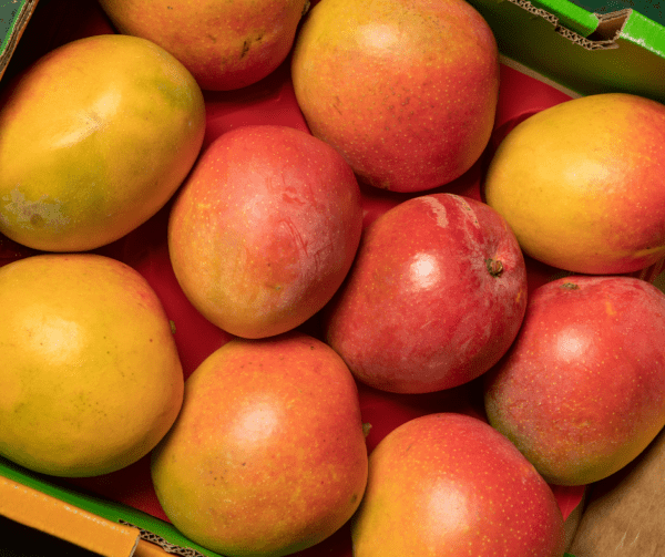 Alphonso mangoes