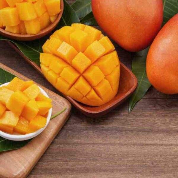 Alphonso Premium Large Mango 12Pcs - Image 3